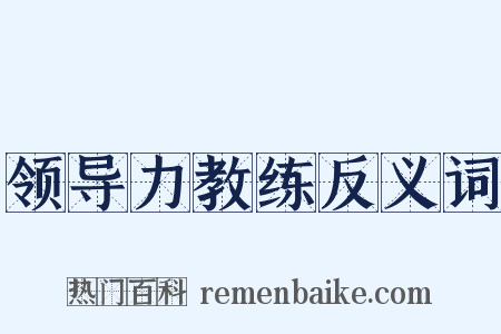 领导力教练反义词是什么意思的图片